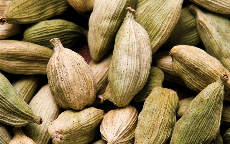 Cardamom