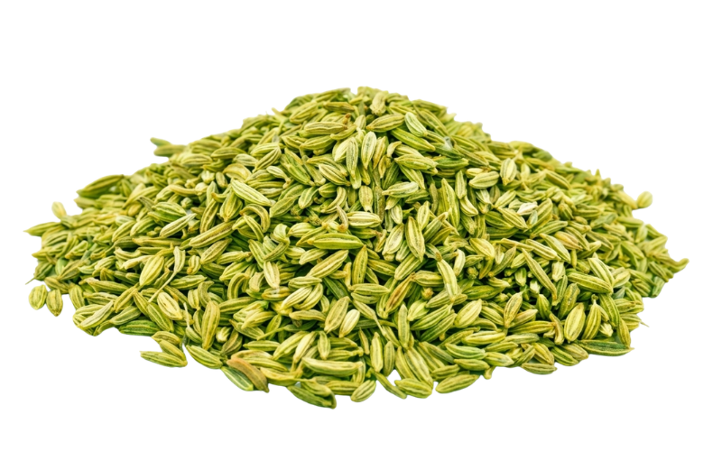 Fennel