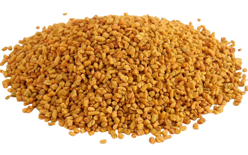 Fenugreek